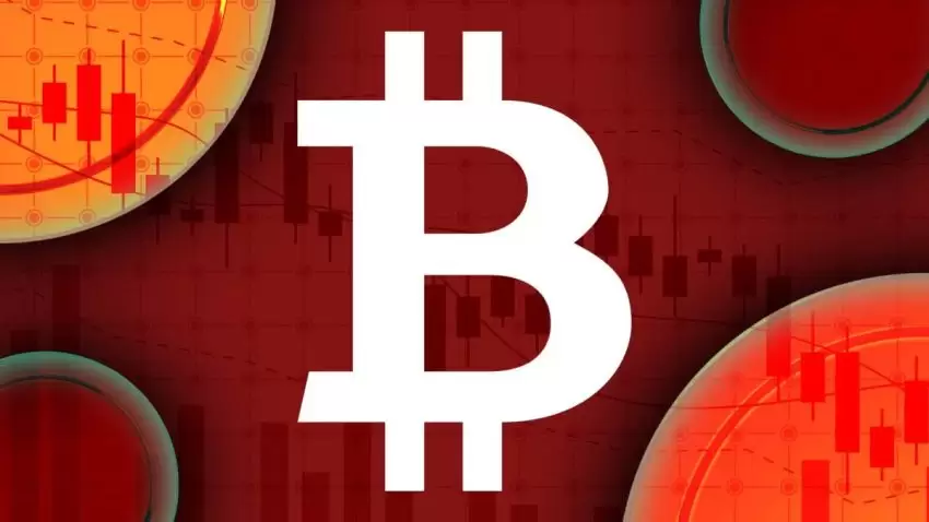 加密货币投资风险与收益：新手需了解的要点